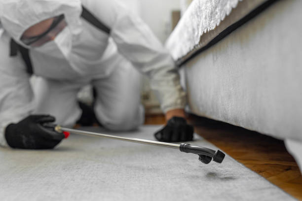 Professional Mosquito Control technician working in Yorktown Heights, NY