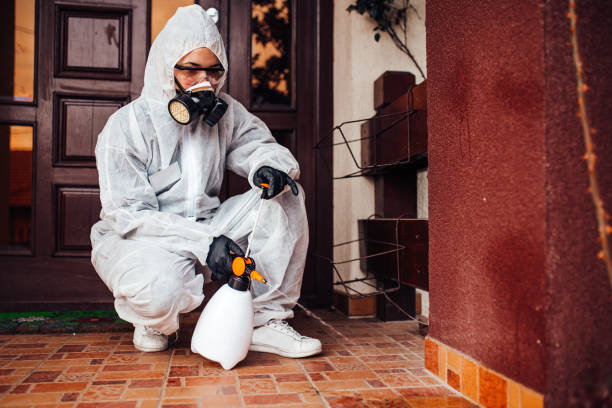 Reliable Mosquito Control contractor in Yorktown Heights, NY by Nex Pest Control
