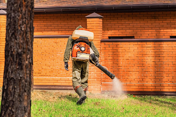 Trusted Cockroach Control service in Yorktown Heights, NY - Nex Pest Control